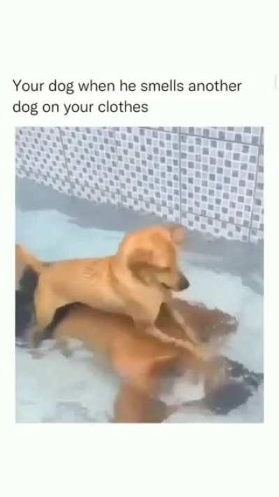 Where's the money, Lebowski? Where's the fucking money, shthead?