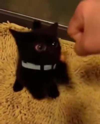 How to Train Your Dragon