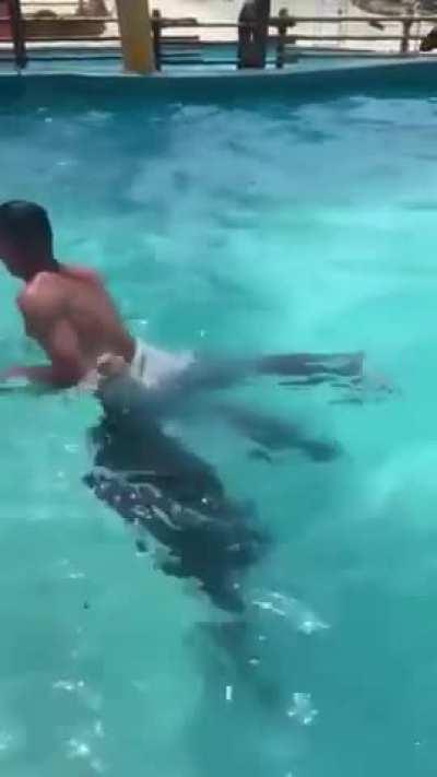 Extreme fun at the water park