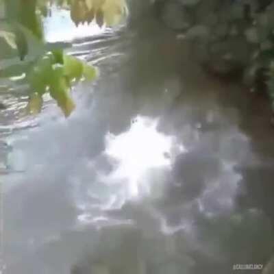 When you can't keep up with your bruddahs