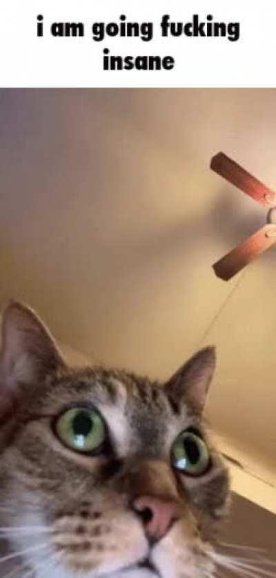 5 Tickets 5 Blitzcranks