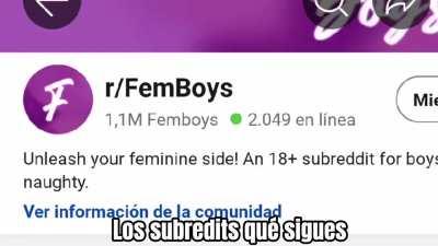 Megatron quiere chicas gato 🗿