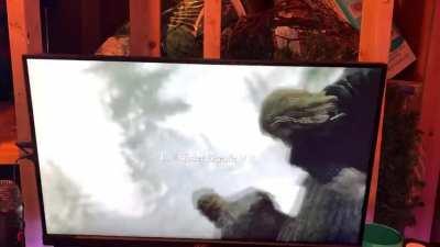 Tried to get my gf on Skyrim for her first time and this is what greeted us! Funny the first time but now it won’t stop. Please help.