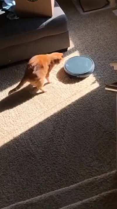 Apparently Archer couldn’t hear the roomba sneaking up on him