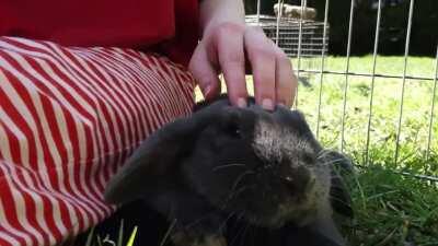 Enjoying a nice spring morning in pajamas with my sweet girl 🌸💕