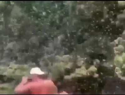 The prize he didn’t expect but deserve