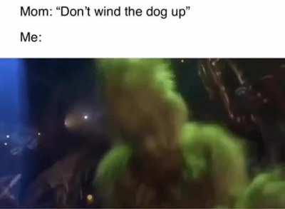 Whenever I see a dog..