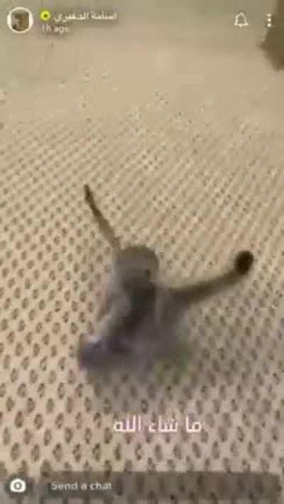 Watching from the background