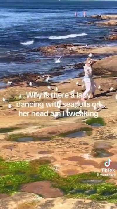 This is crazy freakut