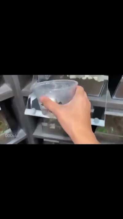 Seems safe..... WTF? 