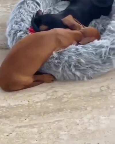 How cute are these two?😍🥰😘♥️♥️♥️