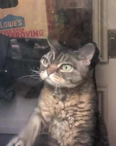 Grumpybarbara slaps some glass