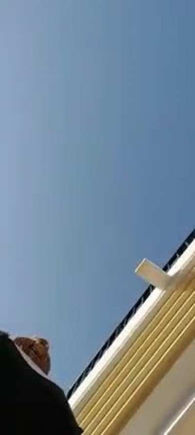 Caught myself up my skirt!