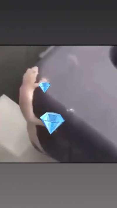 Diamond hands HODL