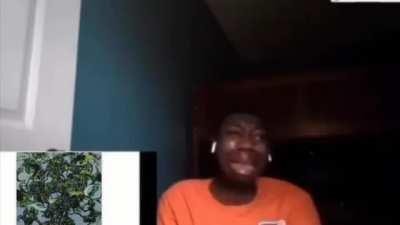 when the the demeta album