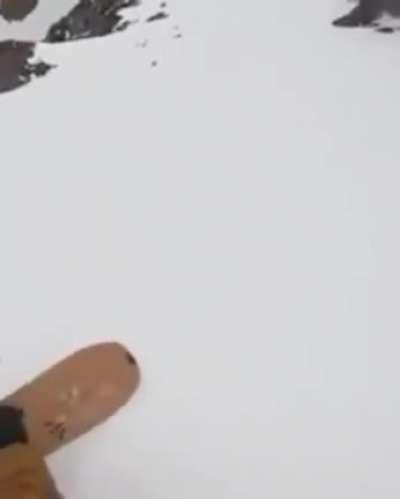 Skiing With My Doggi