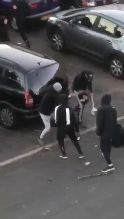 2018г выезд коней в италию