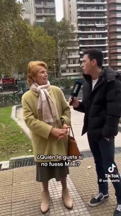 Una Mabel pelo de cocker pura raza en su hábitat natural