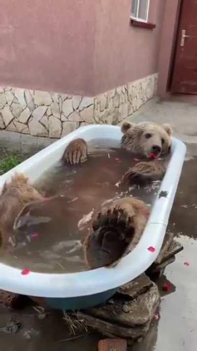 Bear Enjoys Relaxing Bath Time