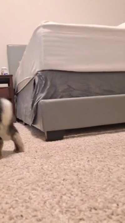 Slowmo, unison binkies