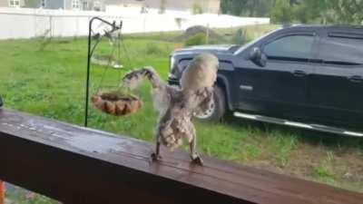 how my emotions be when changing songs