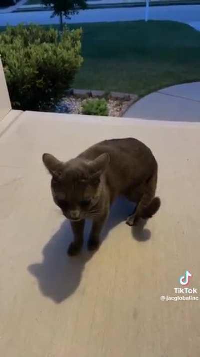 listen, I just want to come inside…