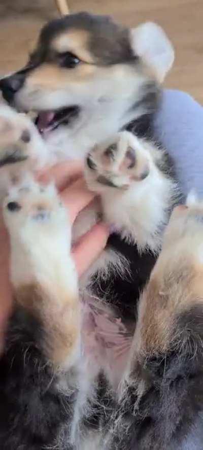 Pls stahp it mum 🙄