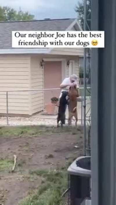 Best friends forever