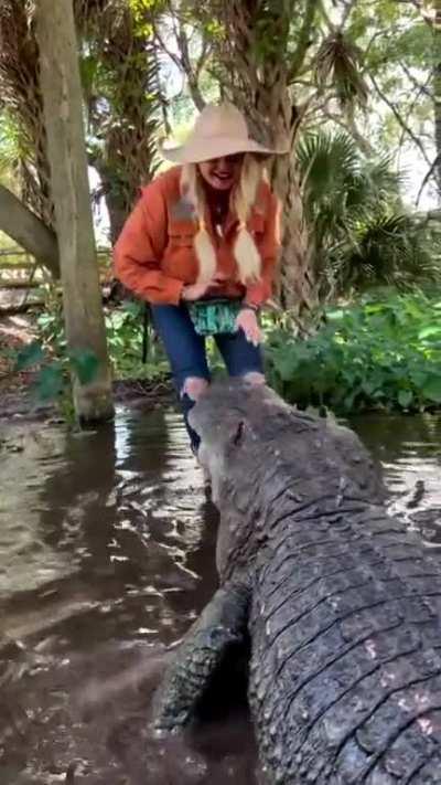 Chunky alligator and a lunatic lady. Adorable relationship or future tragedy?