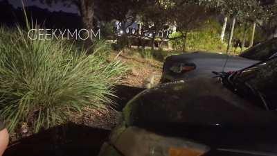 Could havegone inside before we left but where's the fun in that