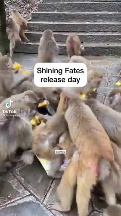Shining Fates On Release Day