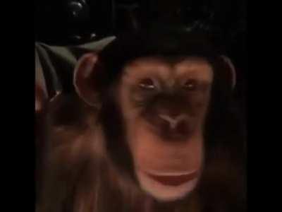 Rare footage of a Macedonian man enjoying dinner🍖