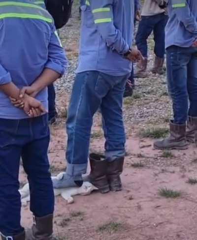 Life With A Lazy Coworker