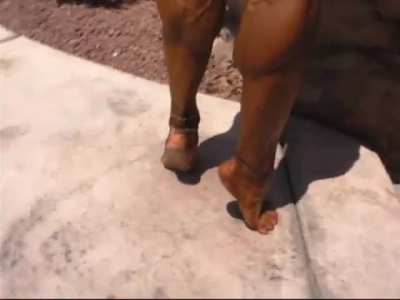 Lean Vascular Calves