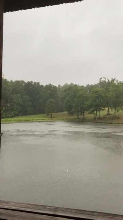 10 seconds of zen for your Thursday.