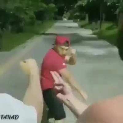 South Asia in a nutshell