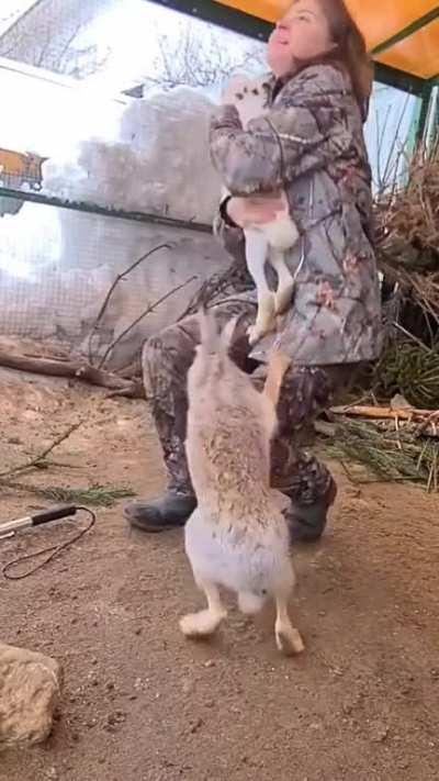 hUsBaNd dEfEnDs wIfE FrOm hOmE InTrUdEr @Suprememazay