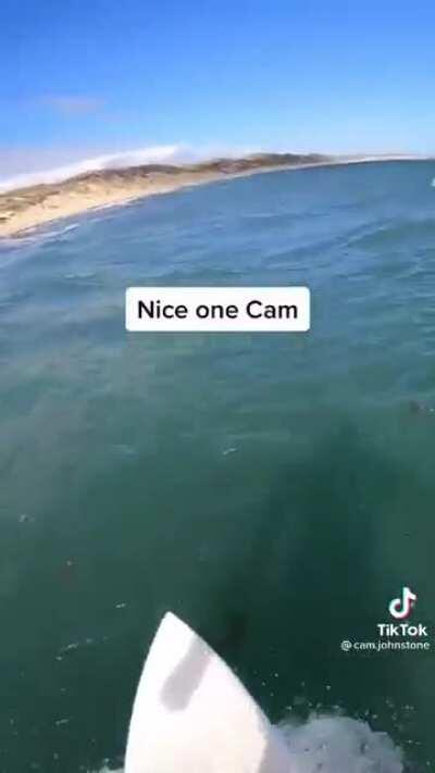 Roller coaster of emotions