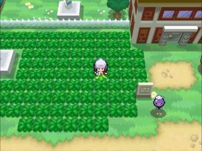 Platinum with gen 5 graphics: Floaroma Town and around