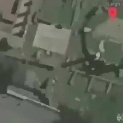 Italian cat jumpscare