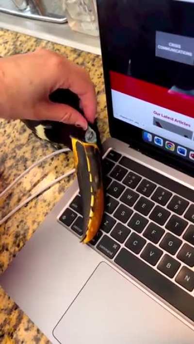 That's a strange mouse...