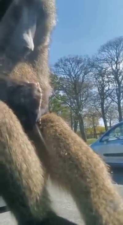 Thanks I hate drinking straight from the tap