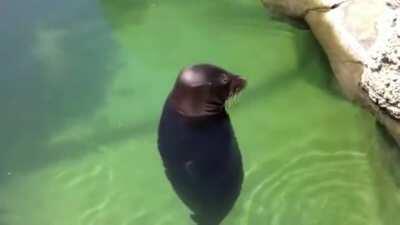 Definitely not a rickroll :)