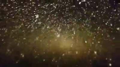 I thought this belonged here instead