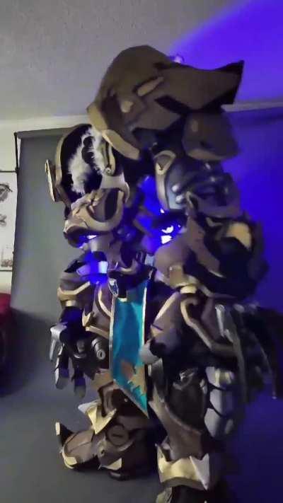 Reinhardt cosplay movement vid