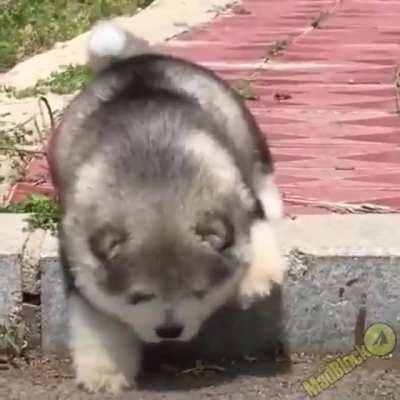 too difficult an obstacle