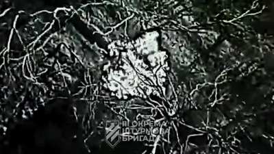 3rd Assault repels russian attack, eliminates more than 100 enemies. Luhansk region, 2025