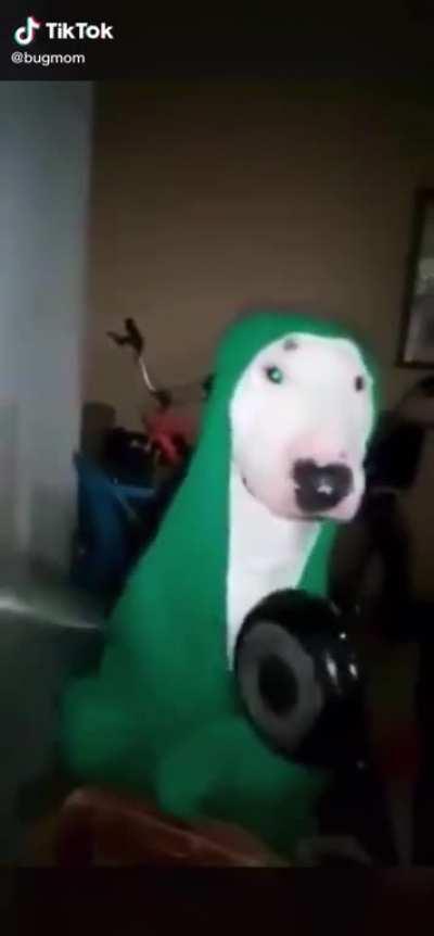 UnusualVideos - Video #9581