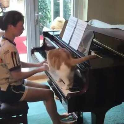 You guys will like this