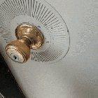 Good boy gets the happy hops when his human comes home